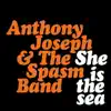 Anthony Joseph & The Spasm Band - She Is the Sea - Single